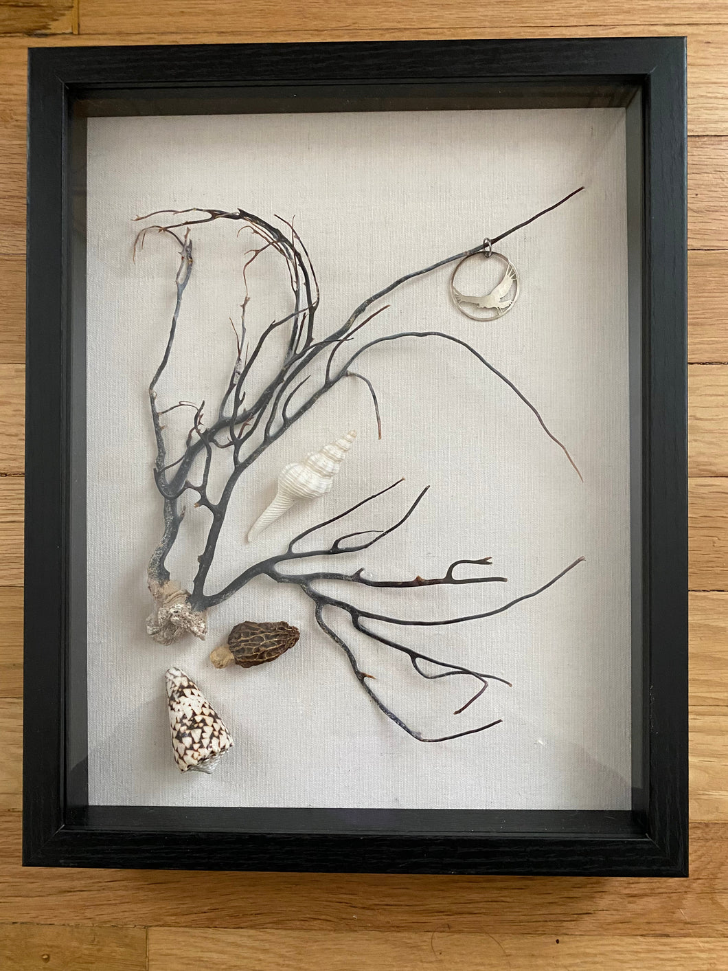 Coral Tree with Silver Eagle Shadowbox